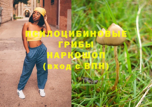 ешки Абинск