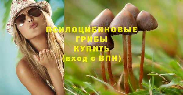 прущая мука Абаза